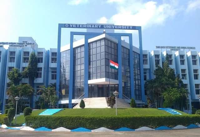 College Image